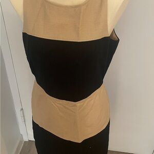Elegant Black and Tan Dress